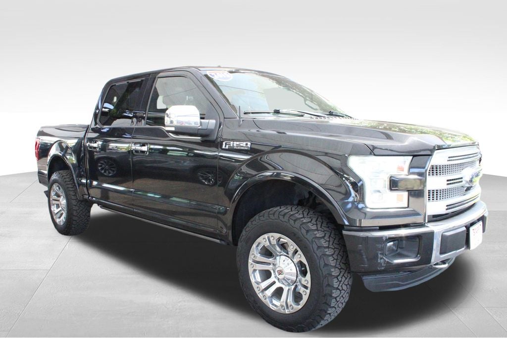 2015 Ford F-150 Platinum - Photo 19