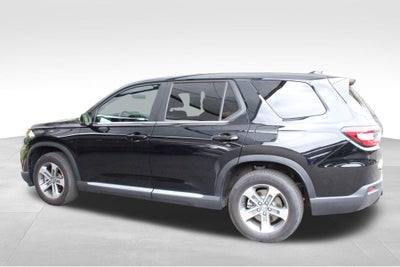 2024 Honda Pilot EX-L 8 Passenger