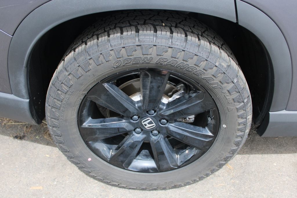 2025 Honda Pilot Black Edition