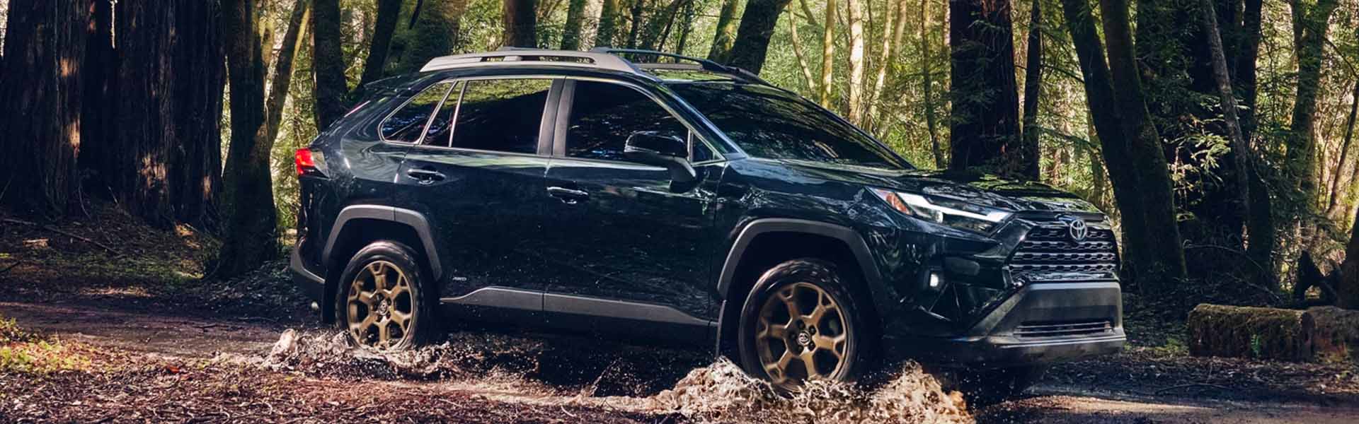 2025 Toyota RAV4 for Sale near Frederick, CO